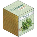 Plant Cube- Thyme
